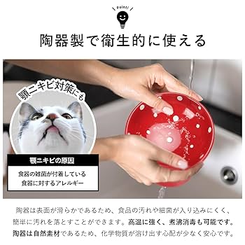 猫の大皿　ピンク　専用★★他の方購入できません 楽天市場】＼最大2000円OFFクーポン／ 日本製 宇宙船付き レザー